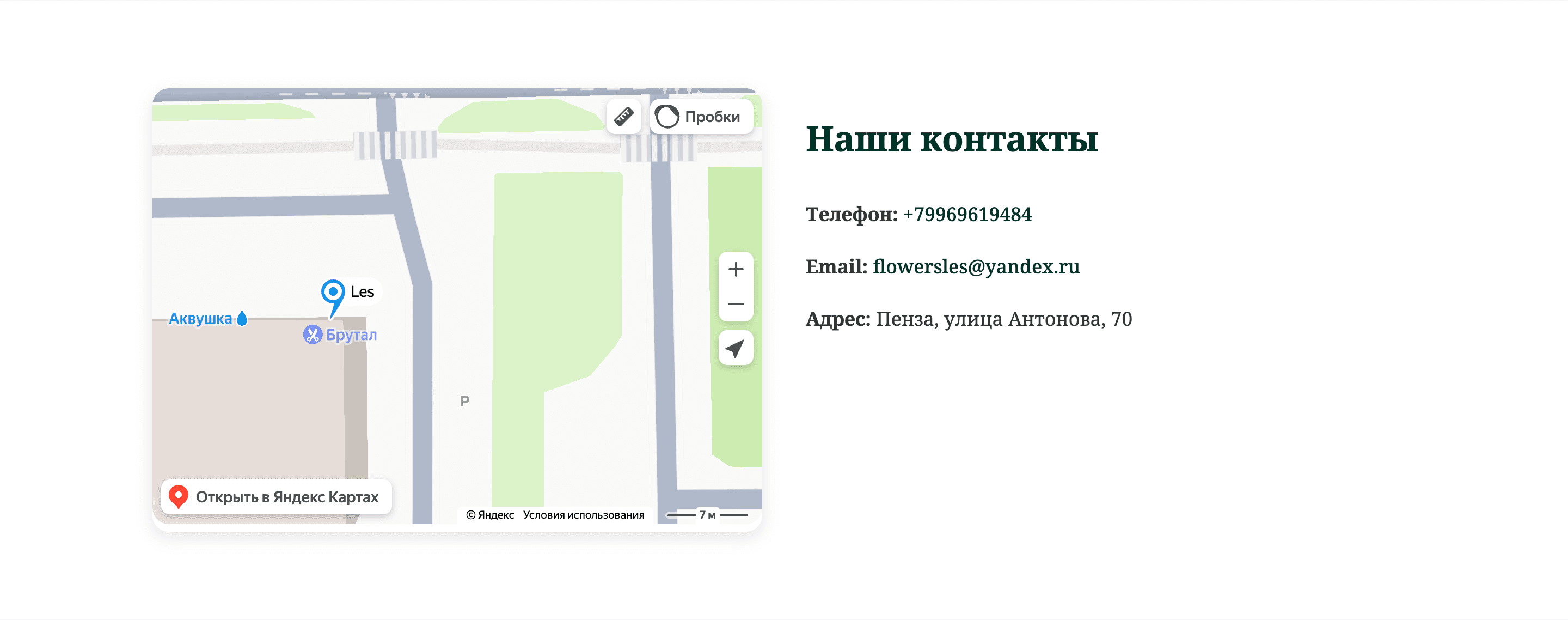 LES — шаблон интернет-магазина цветов — 5