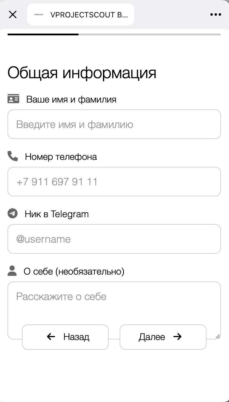 VPROJECTSCOUT — Telegram-бот и Mini App модельного агентства — 4