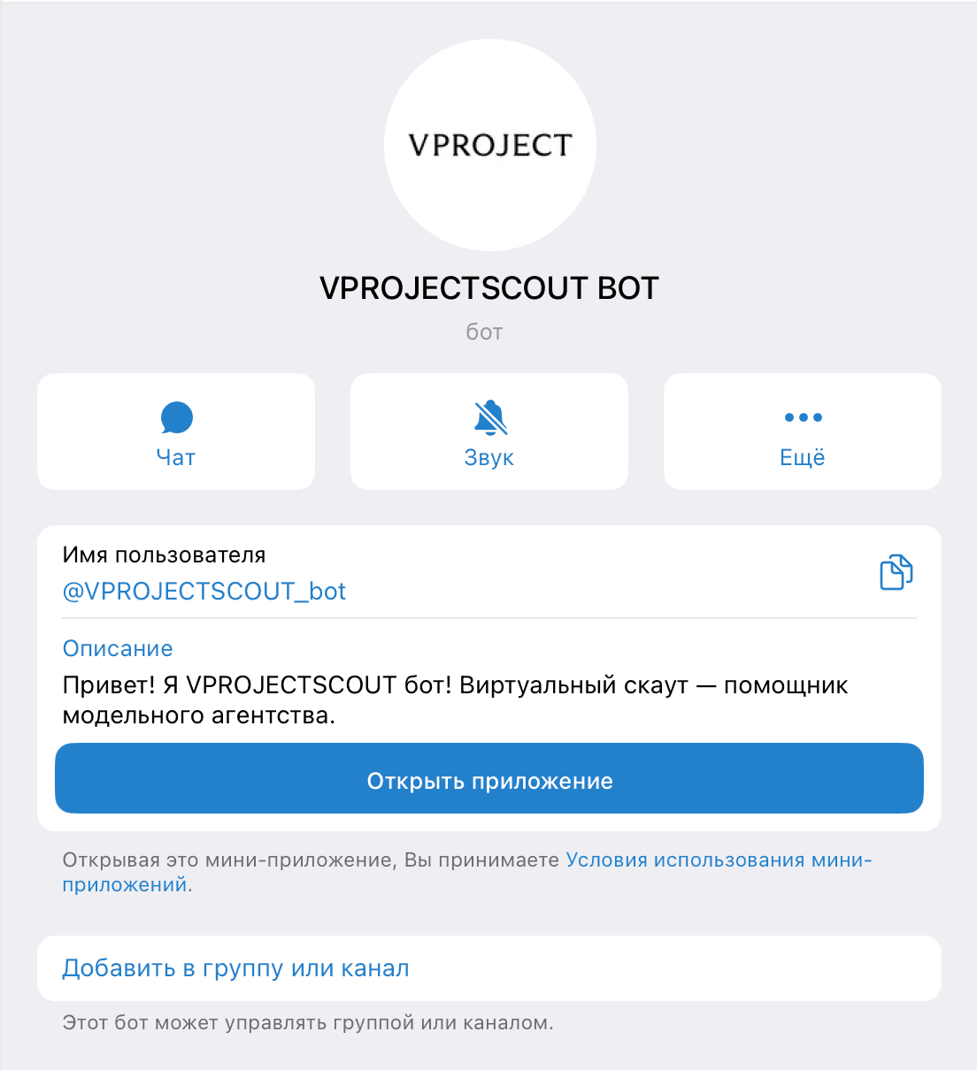 VPROJECTSCOUT — Telegram-бот и Mini App модельного агентства — 5