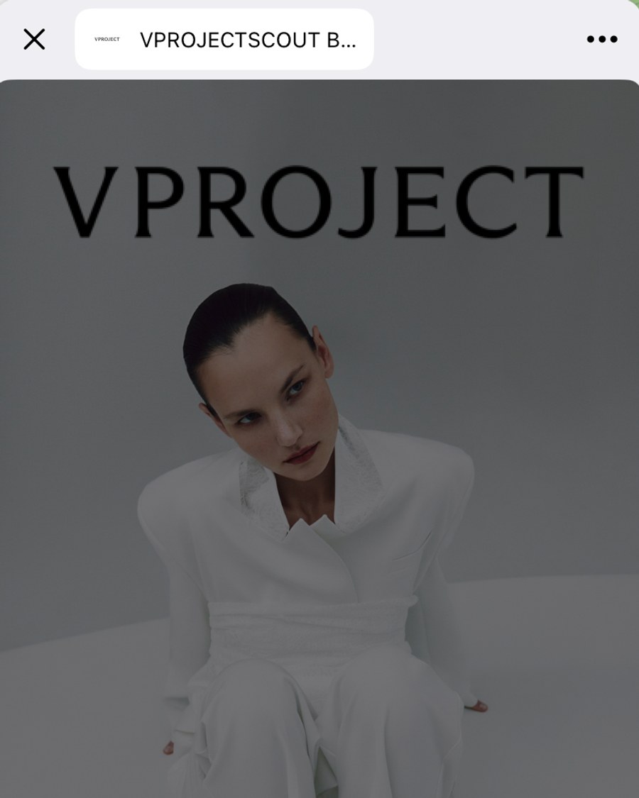 VPROJECTSCOUT — бот и Mini App модельного агентства