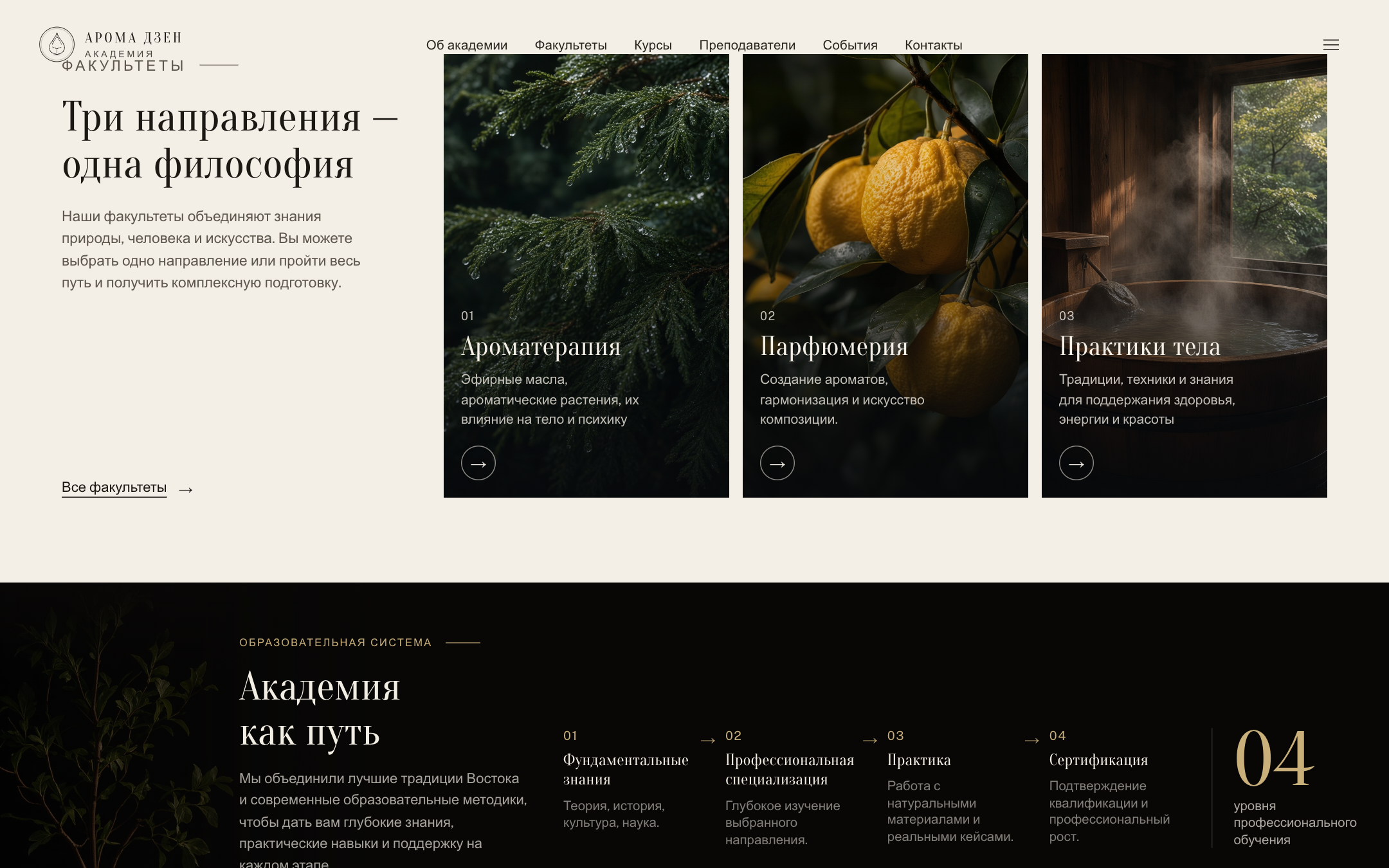 Арома Дзен — сайт онлайн-академии — 3