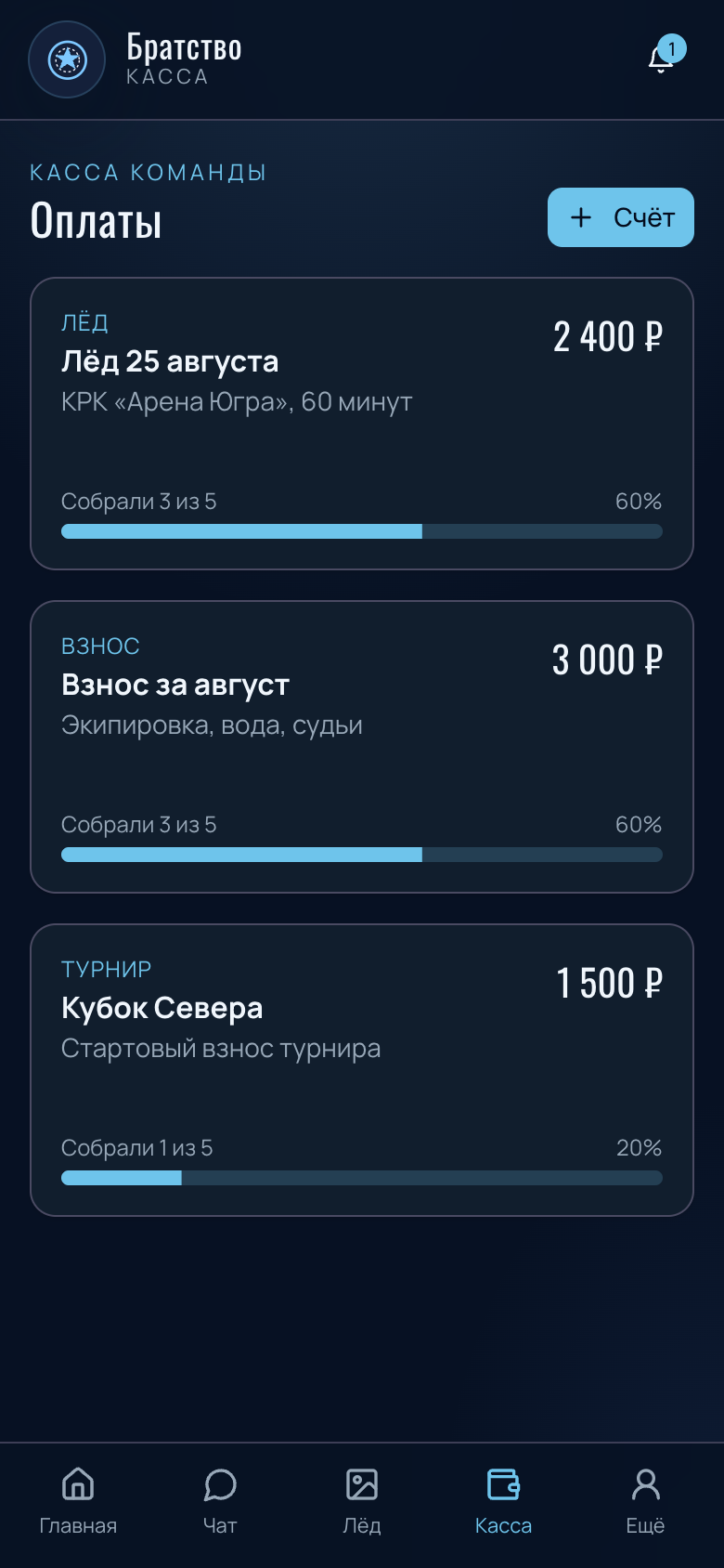 Ледовое Братство — PWA для хоккейной команды — 5